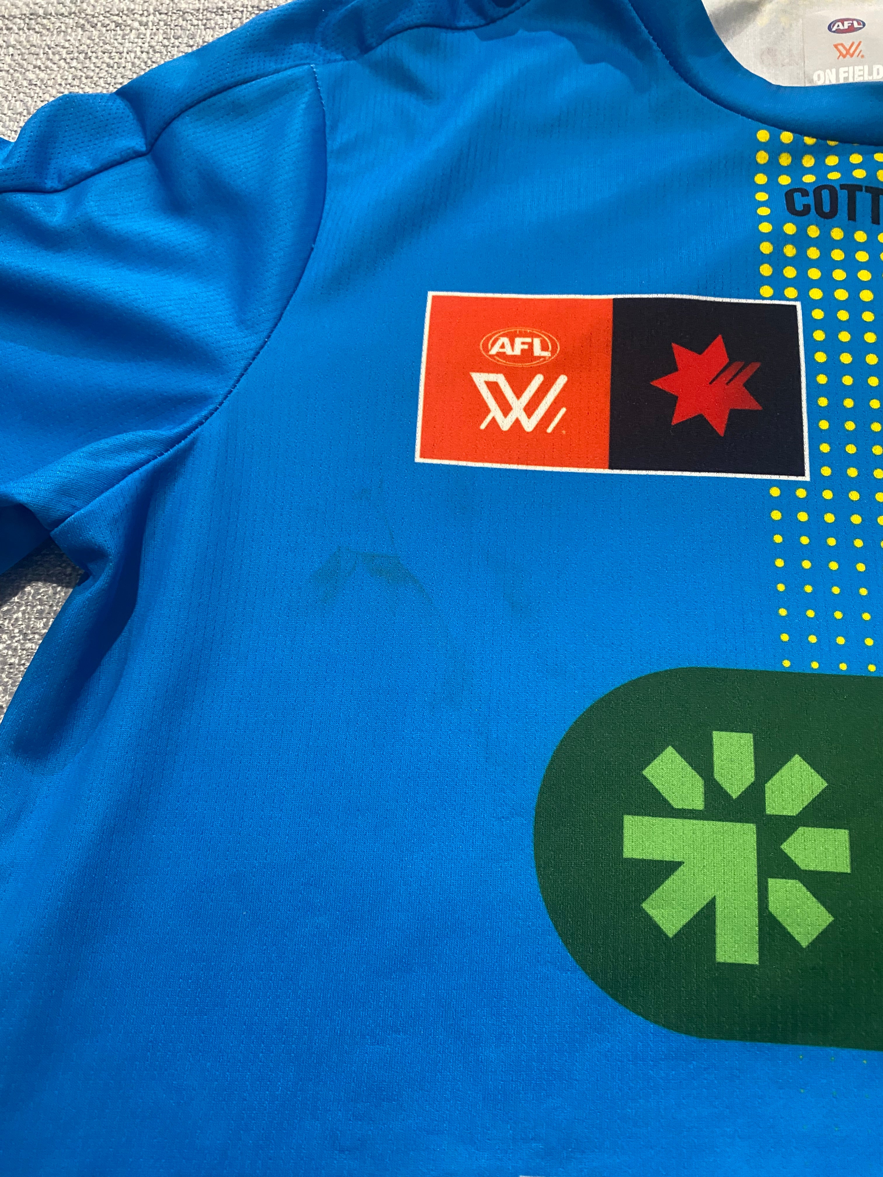 Richmond 2024 AFLW Training Tee