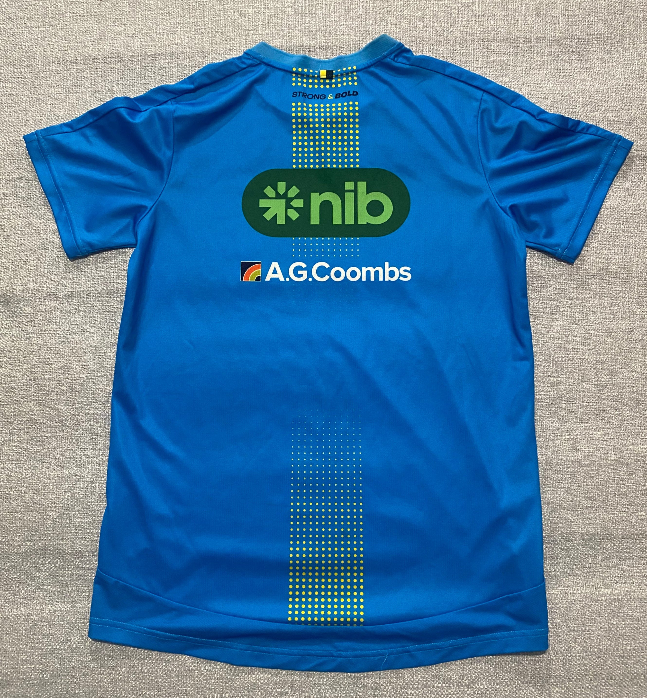 Richmond 2024 AFLW Training Tee